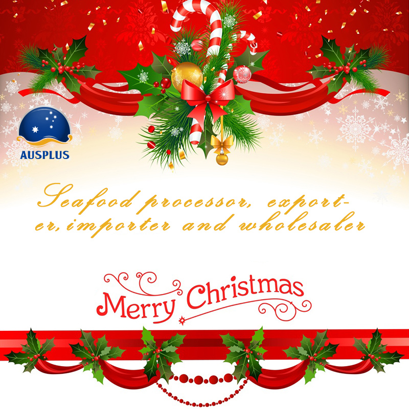 クリスマスと新年おめでとうございます！